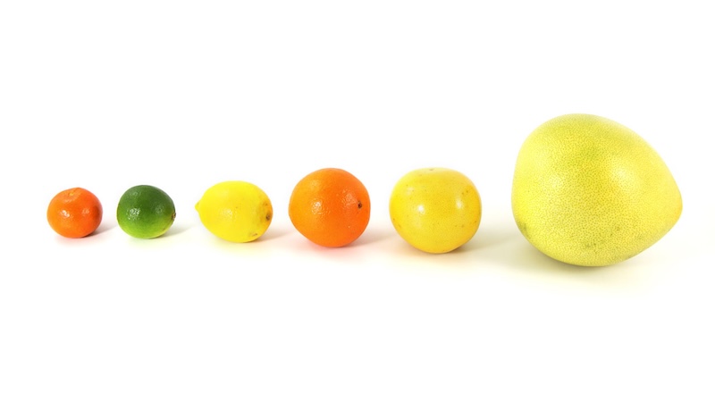 /posts/ruby_array_methods/fruit_array.jpg /posts/ruby_array_methods/fruit_array.jpg
